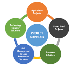 Project Advisory